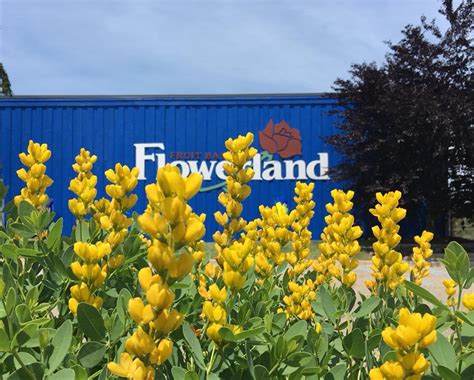 flowerland grand rapids